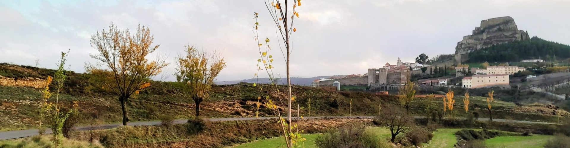 L’Ajuntament de Morella continua amb el pla de recuperació d’espais verds amb la plantació d’arbres a Santa LLúcia