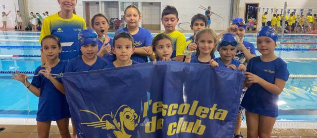 De prebenjamins a màsters: generacions unides pel Club Natació Benicarló