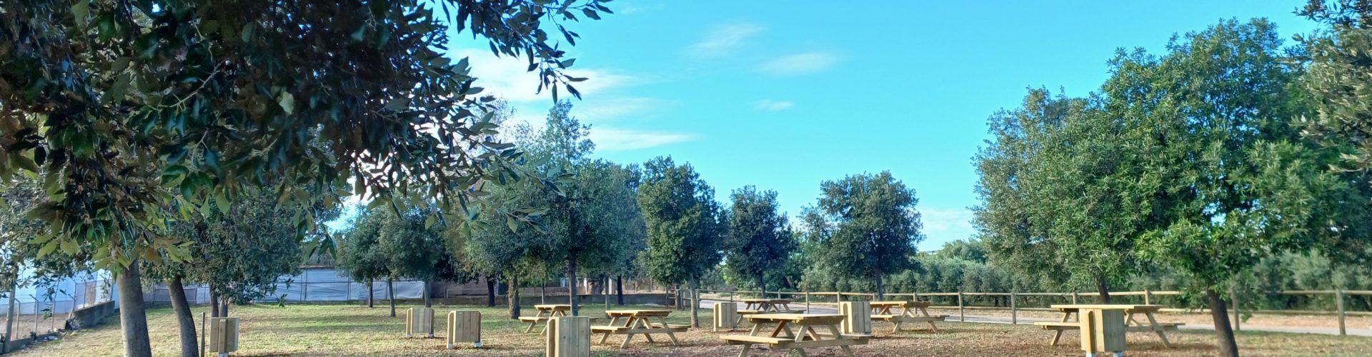Benicarló estrena una nova zona recreativa al costat de l’aljub de la Fossa del Pastor