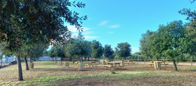 Benicarló estrena una nova zona recreativa al costat de l’aljub de la Fossa del Pastor