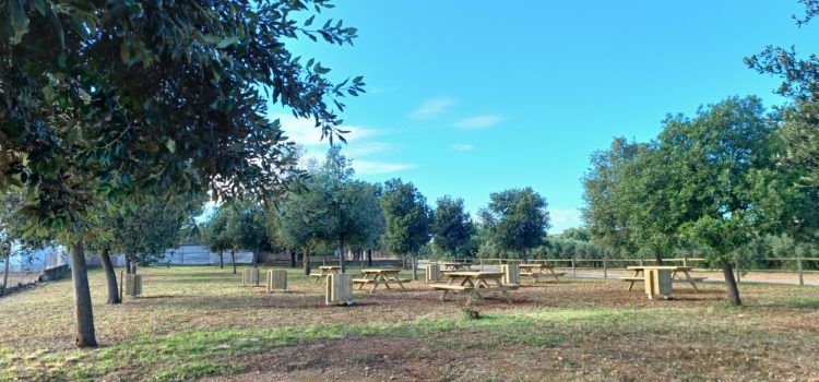 Benicarló estrena una nova zona recreativa al costat de l’aljub de la Fossa del Pastor