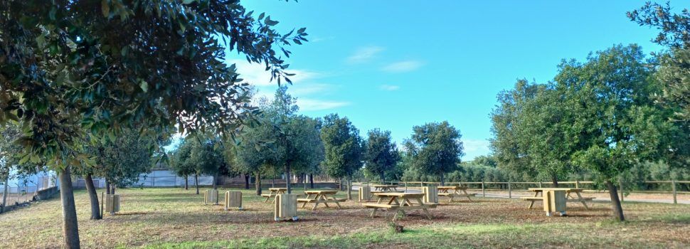 Benicarló estrena una nova zona recreativa al costat de l’aljub de la Fossa del Pastor