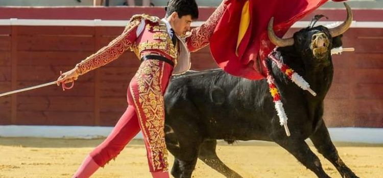 Novillada en Vinaròs el 21 de diciembre