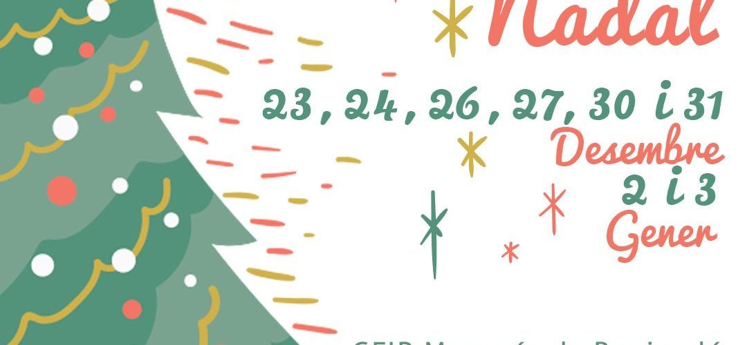 Benicarló posa en marxa l’Escola de Nadal per facilitar la conciliació familiar durant les festes