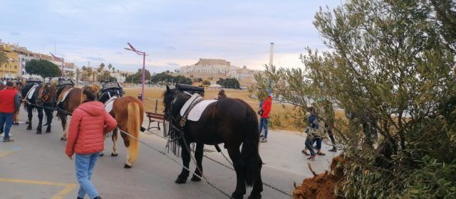 Peníscola inicia aquest cap de setmana la programació de Sant Antoni Abat