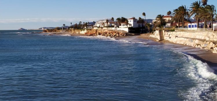 El “parte” del temps: Setmana dels barbuts, setmana d’esternuts, però lo fred no serà cap animalada
