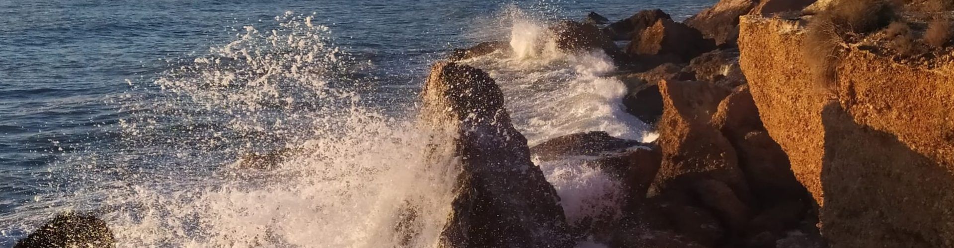 El “parte” del temps: tenim fresca per a dies i donen aigua per a dijous al tard i divendres