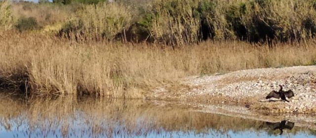 El “parte” del temps: situació prou avorridota, tret de la mar que seguirà mogudeta