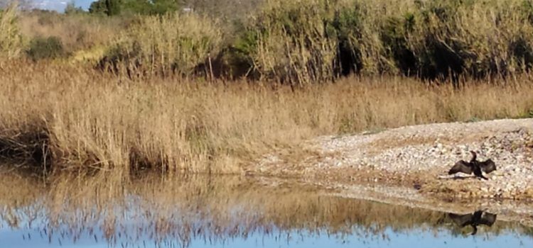 El “parte” del temps: situació prou avorridota, tret de la mar que seguirà mogudeta