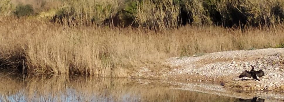 El “parte” del temps: situació prou avorridota, tret de la mar que seguirà mogudeta