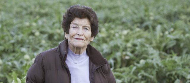 L’agricultora benicarlanda Pilar Senar Branchat serà la persona homenatjada en la XXXII Festa de la Carxofa