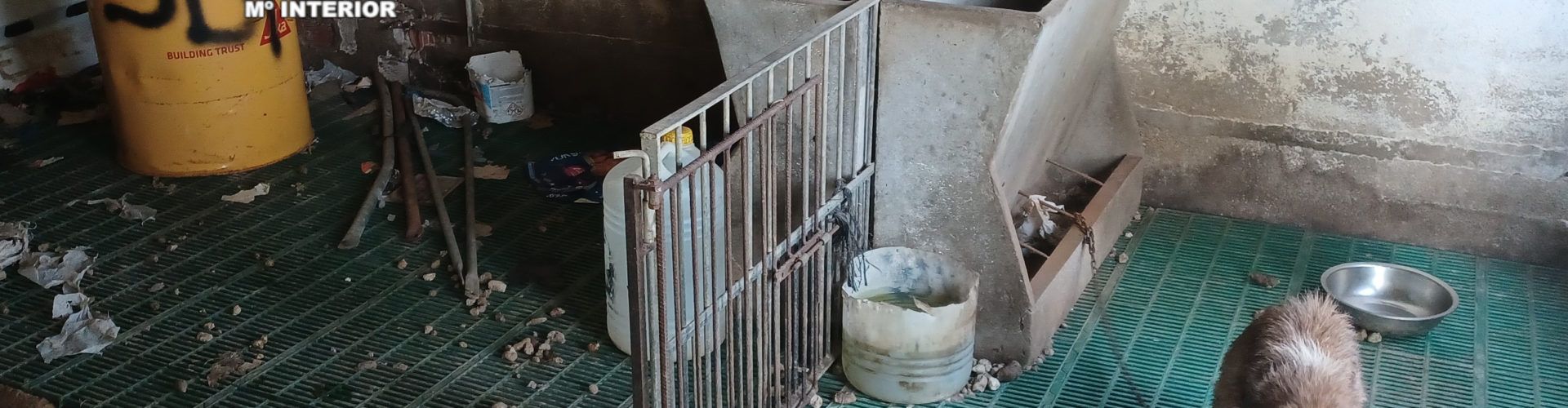 La Guardia Civil investiga a una persona por presunto delito de maltrato animal en Santa Magdalena