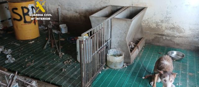 La Guardia Civil investiga a una persona por presunto delito de maltrato animal en Santa Magdalena