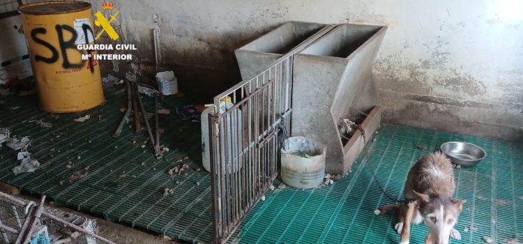 La Guardia Civil investiga a una persona por presunto delito de maltrato animal en Santa Magdalena