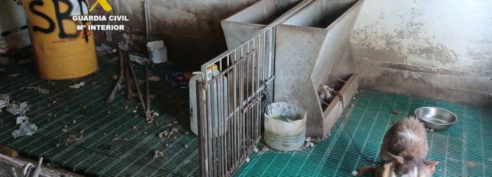 La Guardia Civil investiga a una persona por presunto delito de maltrato animal en Santa Magdalena