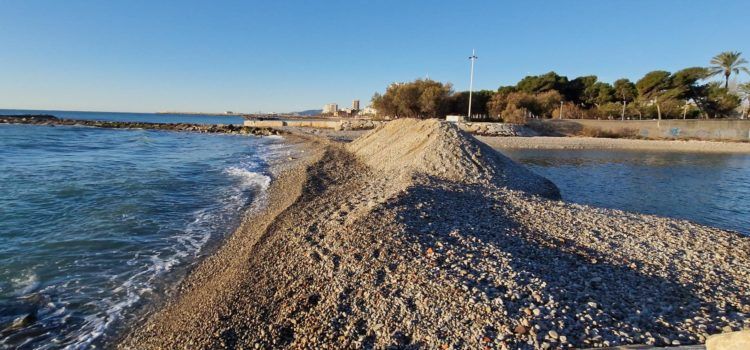 Fotos i vídeo: Passejant per la “passarel·la natural” del Cervol