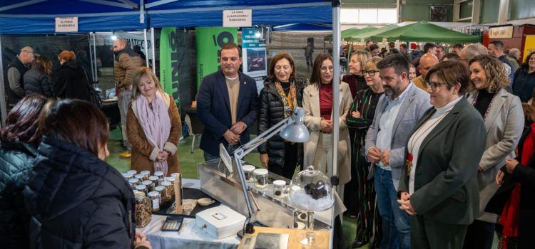 La Diputació de Castelló reitera el seu suport a la XXI Mostra de la Trufa Negra de l’Alt Maestrat