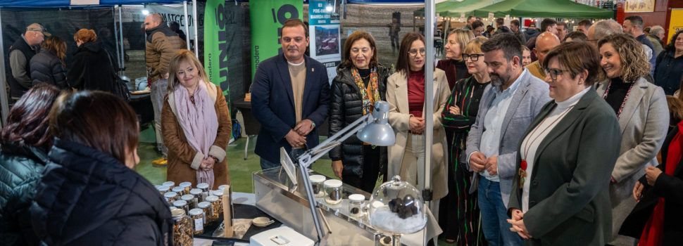 La Diputació de Castelló reitera el seu suport a la XXI Mostra de la Trufa Negra de l’Alt Maestrat