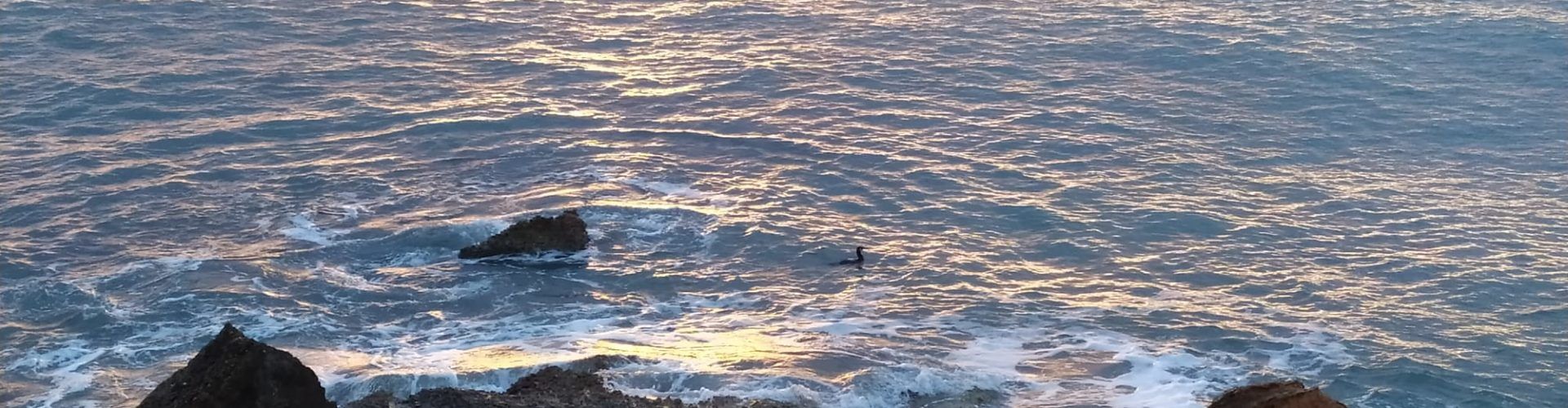 El “parte” del temps: les temperatures pujarien un pelet a partir de dilluns