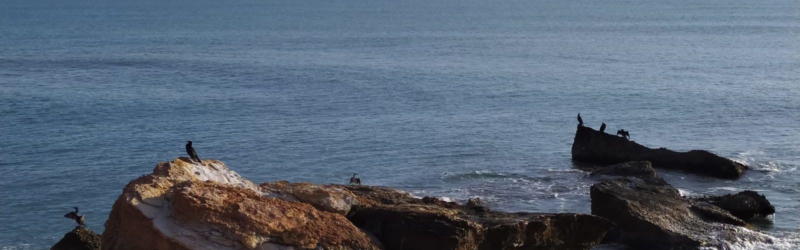 El “parte” del temps: temperatures diürnes més suaus