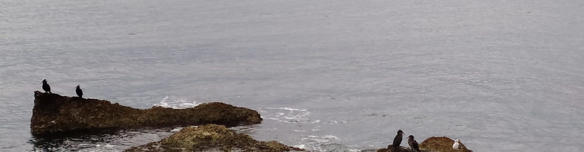 El “parte” del temps: per al capde hi hauria algo més d’inestabilitat, res de l’altre món