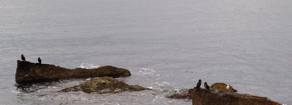 El “parte” del temps: per al capde hi hauria algo més d’inestabilitat, res de l’altre món