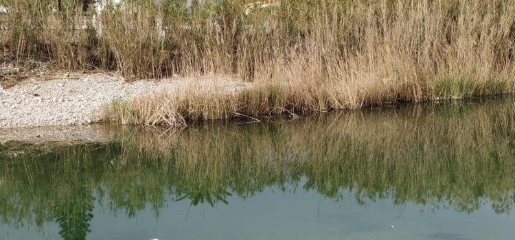El “parte” del temps: els models segueixen donant algo de caldo per al capde