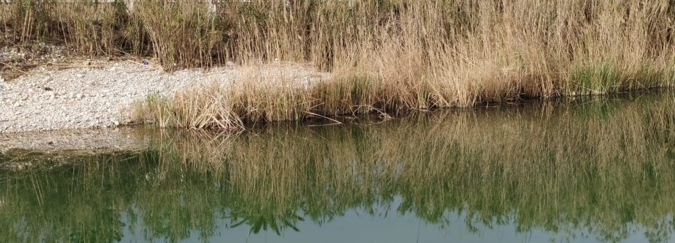 El “parte” del temps: els models segueixen donant algo de caldo per al capde
