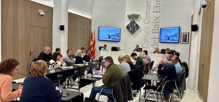 El Ple del Consell Comarcal del Baix Ebre aprova diversos plans per fomentar la igualtat i la diversitat sexual