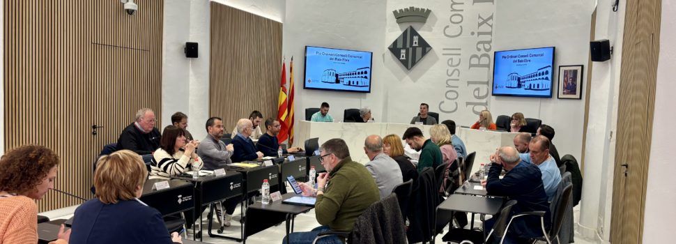 El Ple del Consell Comarcal del Baix Ebre aprova diversos plans per fomentar la igualtat i la diversitat sexual