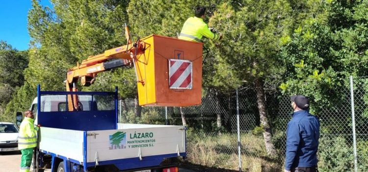 Sant Jordi apuesta por un innovador tratamiento biológico contra la procesionaria anticipándose al calor