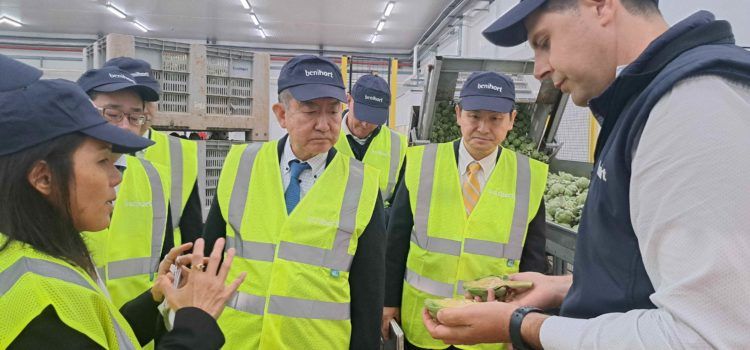La cooperativa más important de Japón, interesada en Benihort