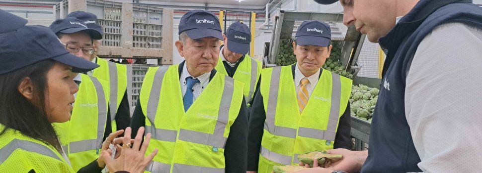 La cooperativa más important de Japón, interesada en Benihort