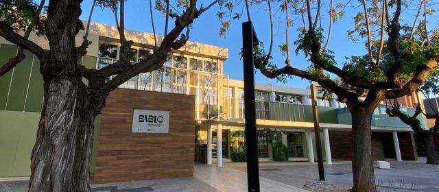 La Biblioteca Manel Garcia Grau de Benicarló registra més de 65.000 visites durant el 2024