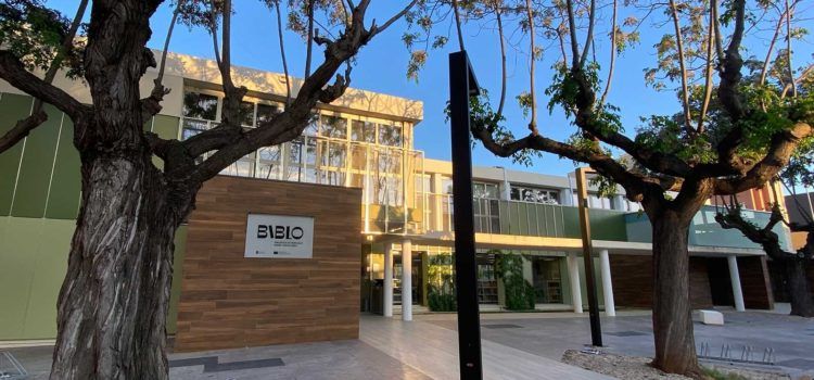 La Biblioteca Manel Garcia Grau de Benicarló registra més de 65.000 visites durant el 2024