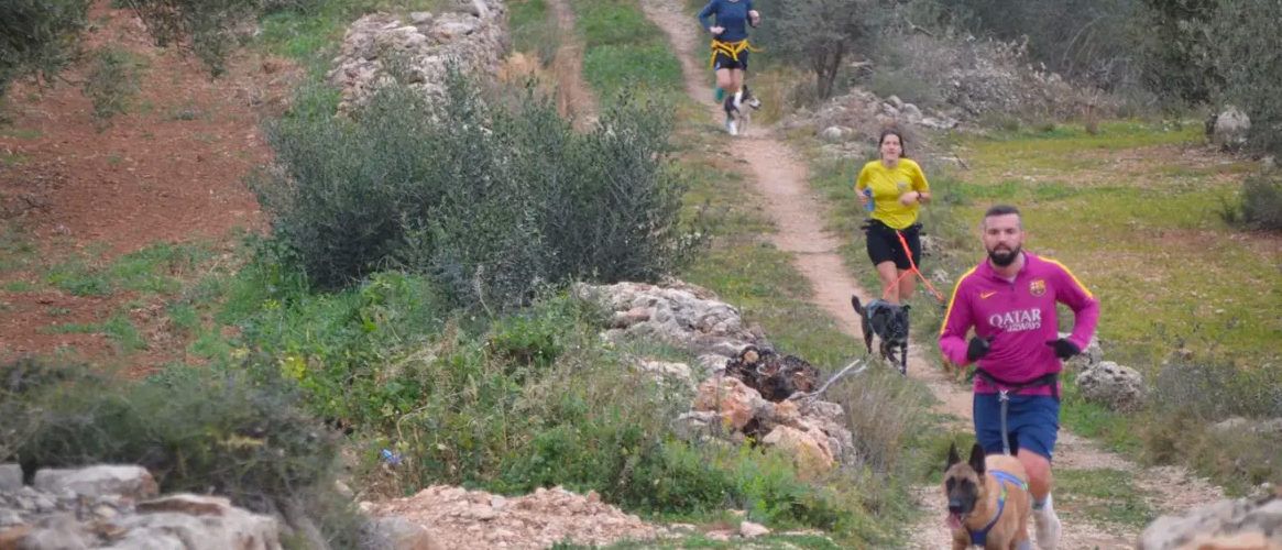 Canicròs, Marxa, Cursa Express i Trailkids Mascarats a la Sénia