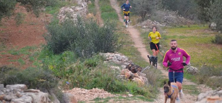 Canicròs, Marxa, Cursa Express i Trailkids Mascarats a la Sénia