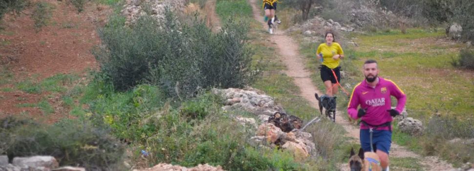 Canicròs, Marxa, Cursa Express i Trailkids Mascarats a la Sénia 