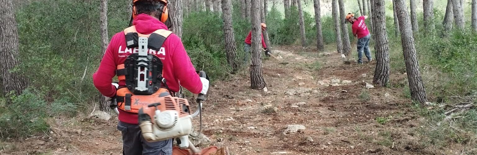 El Taller d’ocupació Taula del Sénia 2024-25 implica 12 persones