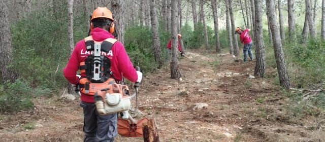 El Taller d’ocupació Taula del Sénia 2024-25 implica 12 persones