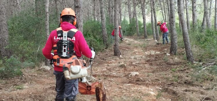 El Taller d’ocupació Taula del Sénia 2024-25 implica 12 persones