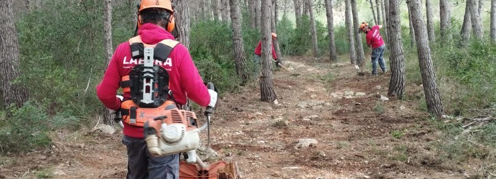 El Taller d’ocupació Taula del Sénia 2024-25 implica 12 persones