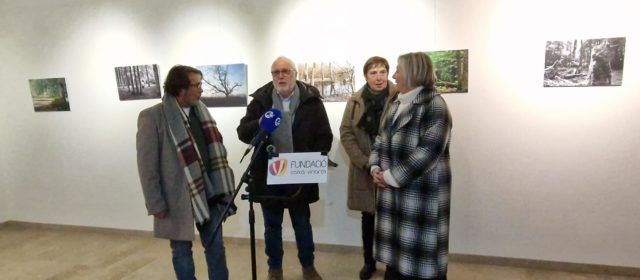 Exposició de fotografies “Arbres” de Vicent Camacho