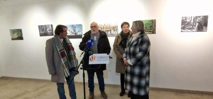 Exposició de fotografies “Arbres” de Vicent Camacho
