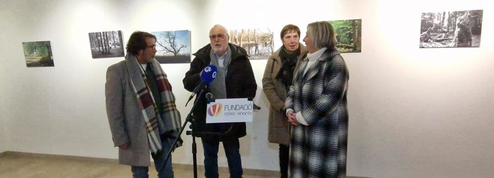 Exposició de fotografies “Arbres” de Vicent Camacho