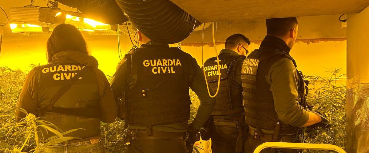 Desmantelada en Peñíscola una plantación “Indoor” de marihuana y detenida una persona
