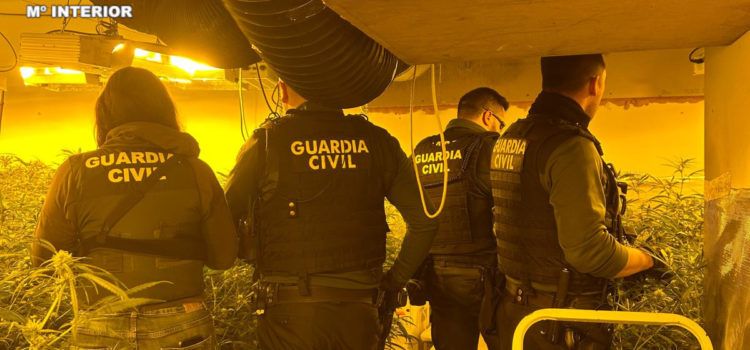 Desmantelada en Peñíscola una plantación “Indoor” de marihuana y detenida una persona