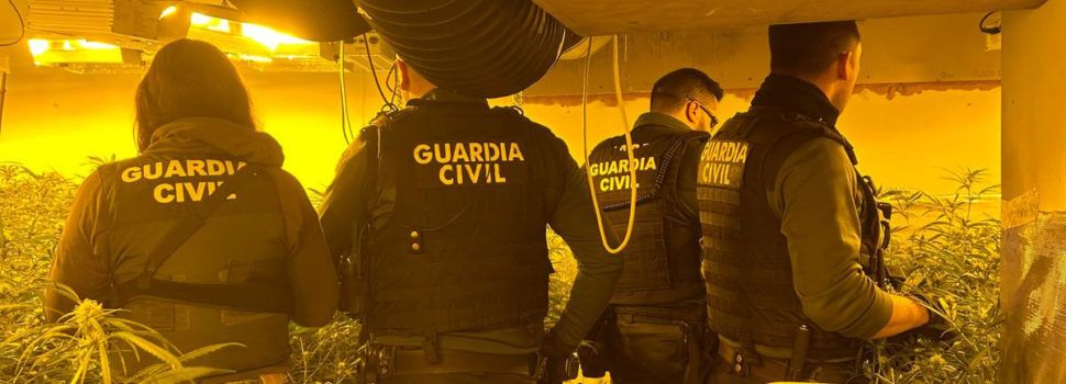 Desmantelada en Peñíscola una plantación “Indoor” de marihuana y detenida una persona