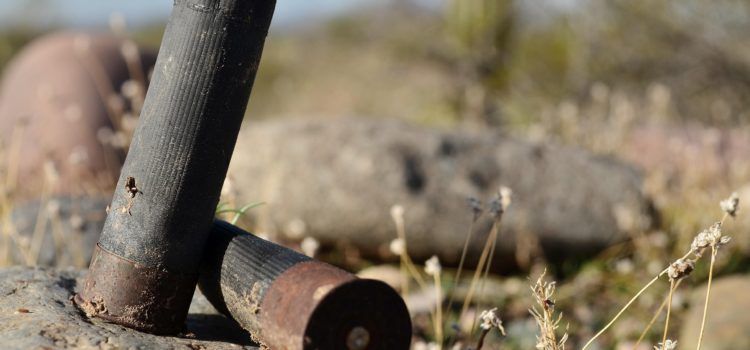 APNAL-Ecologistas en Acción de Vinaròs presenta alegaciones al proyecto de un campo de tiro en Soterranyes Baixes