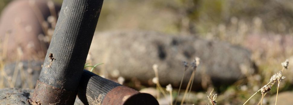 APNAL-Ecologistas en Acción de Vinaròs presenta alegaciones al proyecto de un campo de tiro en Soterranyes Baixes